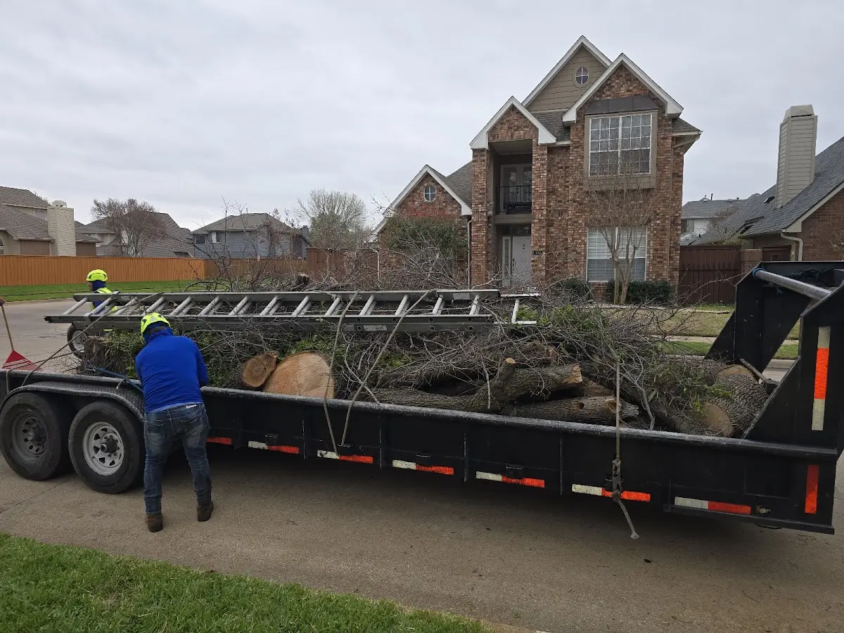 Expert Tree Fertilization with proper safety equipment in Belton